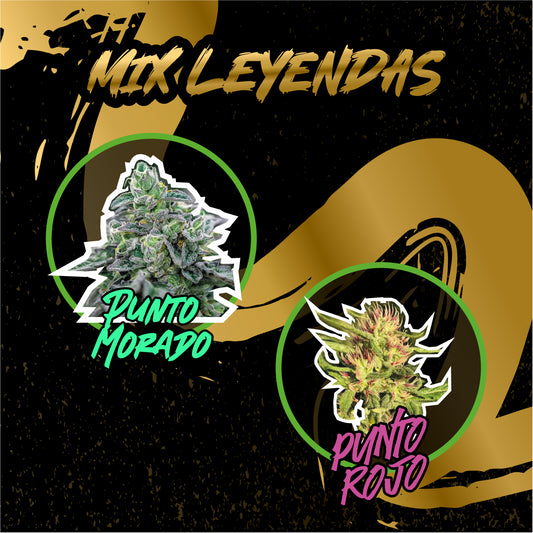 MIX LEYENDAS FAST VERSION X14-DELIRIUM SEEDS