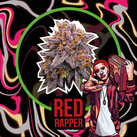 RED RAPPER AUTO X2-DELIRIUM SEEDS