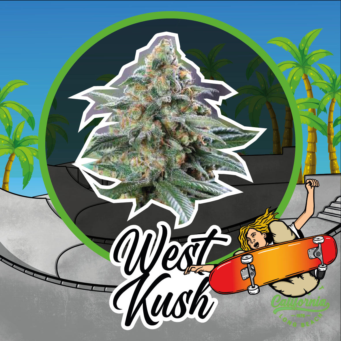 WEST KUSH AUTO X1-DELIRIUM SEEDS