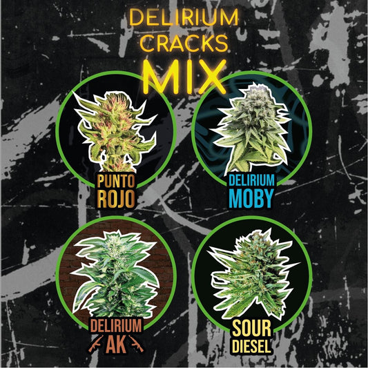 MIX DELIRIUM CRACK FAST VERSION X14-DELIRIUM SEEDS