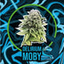 Delirium Moby Auto x 4 Semillas - Dominancia Sativa | Delirium Seeds