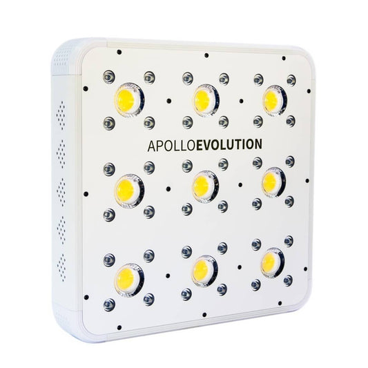 APOLLO EVOLUTION 9 280W - DELIGHT - Market Grow