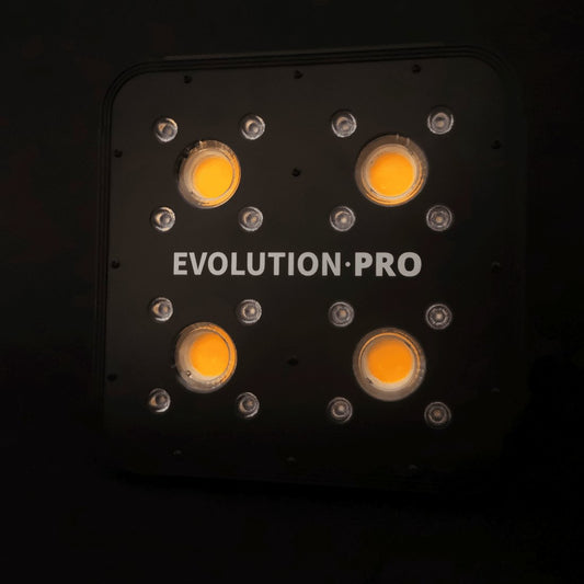 APOLLO EVOLUTION PRO 4 150W - DELIGHT - Market Grow