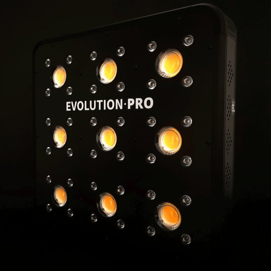 APOLLO EVOLUTION PRO 9 300W - DELIGHT - Market Grow