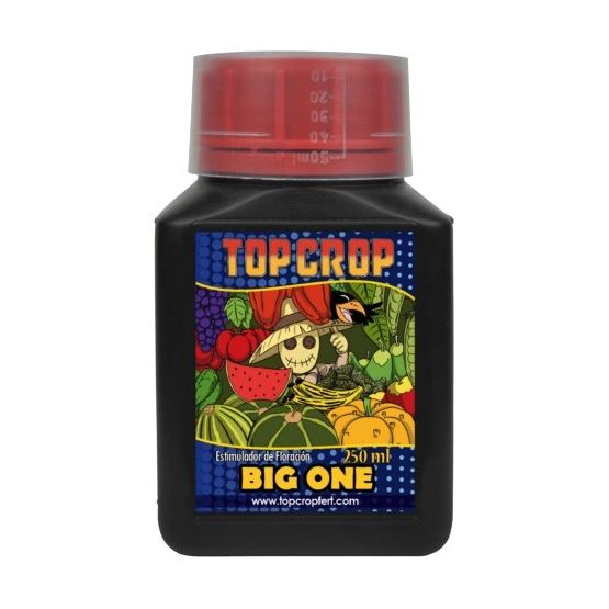 Big One 250ml - Estimulante Floral Concentrado para Explosión de Floración | Top Crop - Market Grow