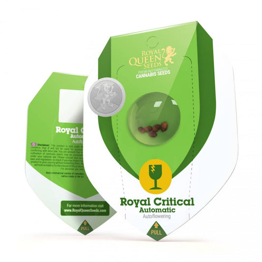 ROYAL CRITICAL AUTO X1-ROYAL QUEEN SEEDS