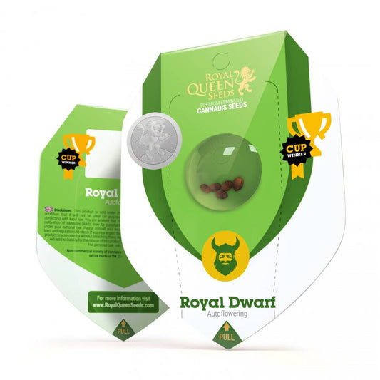 ROYAL DWARF AUTO X1-ROYAL QUEEN SEEDS